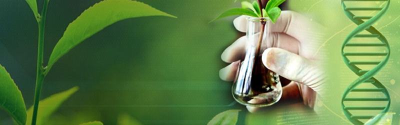 Master of Science Botany Image