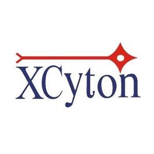 XCyton Pvt Lmt