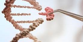 Bachelor of Science Genetics, Psychology, Biochemistry (GPBC)