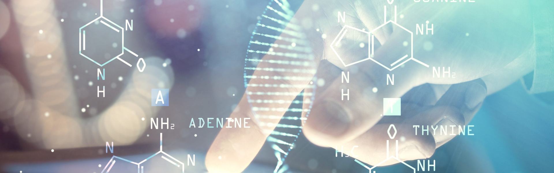 Bachelor of Science Image