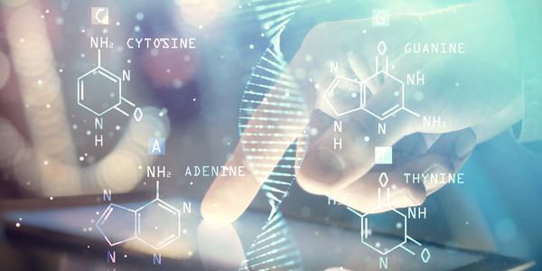 Bachelor of Science - National Education Policy